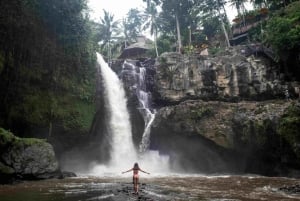 Ubud: terrazza di riso, cascata e grotta dell'elefante