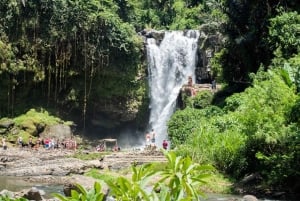 Ubud: terrazza di riso, cascata e grotta dell'elefante