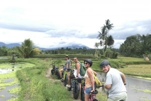 Ubud: Terrazas de Arroz y Pueblos Medio Día en Bici Fat Tire