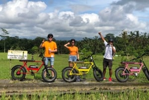 Ubud: Risterrasser och byar Halvdags Fat Tire E-Bike-tur