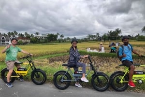 Ubud: Tarasy ryżowe i wioski Półdniowa wycieczka rowerem elektrycznym z grubymi oponami