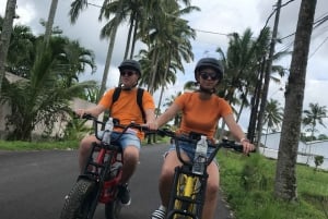 Ubud: Rice Terraces & Villages Halvdags Fat Tire E-Bike Tour