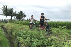 Ubud : Rizières en terrasses et villages - demi-journée en E-Bike Fat Tire