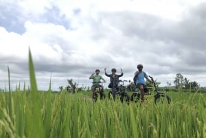 Ubud : Rizières en terrasses et villages - demi-journée en E-Bike Fat Tire