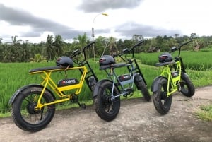 Ubud: Reisterrassen & Dörfer Halbtagestour mit dem Fat Tire E-Bike