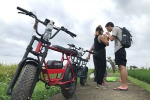 Ubud: Risterrasser och byar Halvdags Fat Tire E-Bike-tur