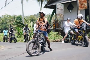 Ubud: Rijstterrassen en dorpen Halve dag Fat Tire E-Bike Tour