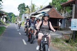 Ubud: tour in bici elettrica di mezza giornata con terrazze di riso e villaggi