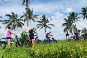 Ubud: Terraços de Arroz e Aldeias Excursão de bicicleta elétrica de meio dia para pneus gordos