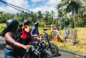 Ubud: Rice Terraces & Villages Half-Day Fat Tire E-Bike Tour