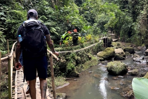 Ubud: Rice Terraces, Water Temple, & Waterfalls Private Tour