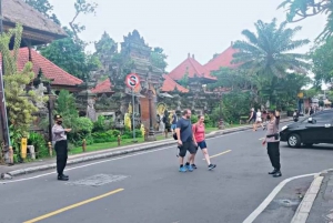 Ubud: Monkey Forest, Waterfall, Ricefield & Swing Activity