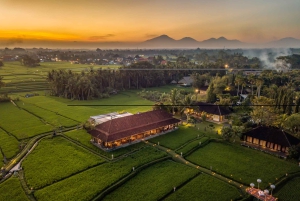 Ubud : dîner romantique au milieu des rizières