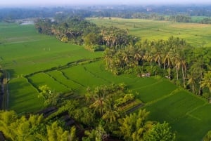 Ubud : dîner romantique au milieu des rizières