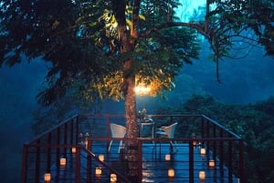 Ubud: Romantic Dinner on a Forest Tree Deck
