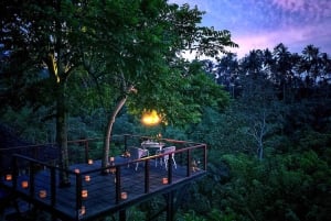 Ubud: Cena romántica en la terraza de un árbol del bosque