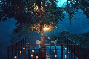 Ubud: Cena romántica en la terraza de un árbol del bosque