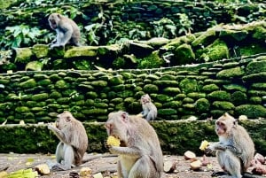 Ubud: Biljett till fristaden Sacred Monkey Forest och guidad tur
