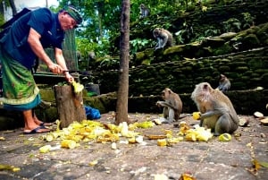 Ubud: Biljett till fristaden Sacred Monkey Forest och guidad tur