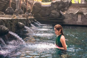 Ubud Scenic Waterfalls, Temple with Coffee - All Inclusive
