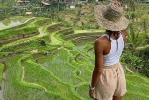 Ubud Scenic Waterfalls, Temple with Coffee - All Inclusive