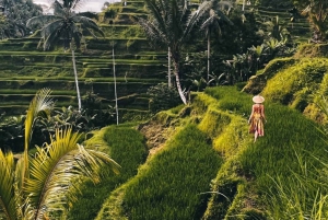 Ubud Scenic Waterfalls, Temple with Coffee - All Inclusive
