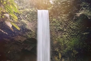 Ubud Scenic Waterfalls, Temple with Coffee - All Inclusive