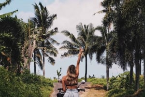 Убуд: Тирта Эмпул, рисовая терраса, водопад и индивидуальная экскурсия