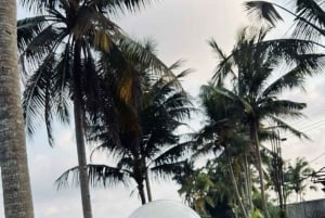 Убуд: Тирта Эмпул, рисовая терраса, водопад и индивидуальная экскурсия