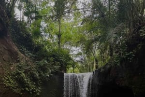 Убуд: Тирта Эмпул, рисовая терраса, водопад и индивидуальная экскурсия