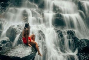 Убуд: Тирта Эмпул, рисовая терраса, водопад и индивидуальная экскурсия