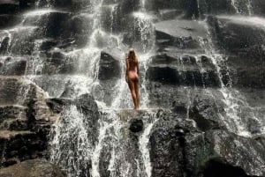 Убуд: Тирта Эмпул, рисовая терраса, водопад и индивидуальная экскурсия