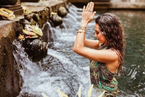 Убуд: Тирта Эмпул, рисовая терраса, водопад и индивидуальная экскурсия