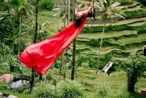 Ubud: Secret Waterfalls and Jungle Swing Private Tour