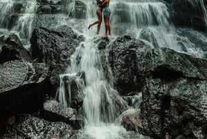 Ubud: Secret Waterfalls and Jungle Swing Private Tour