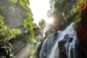 Ubud: Secret Waterfalls and Jungle Swing Private Tour