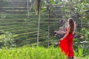 Ubud: Semi-Customized Private Tour mit Live Guide