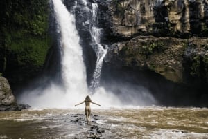 Ubud: Semi-Customized Private Tour mit Live Guide