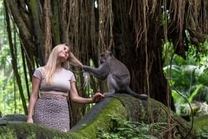 Ubud: Semi-Customized Private Tour mit Live Guide