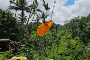 Ubud: Semi-Customized Private Tour mit Live Guide