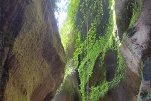 Убуд: Тирта Эмпул, рисовая терраса, водопад и индивидуальная экскурсия