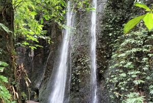 Убуд: Тирта Эмпул, рисовая терраса, водопад и индивидуальная экскурсия