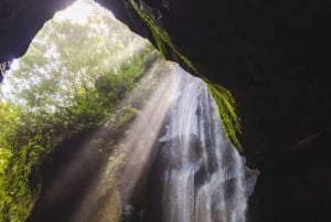 Убуд: Тирта Эмпул, рисовая терраса, водопад и индивидуальная экскурсия