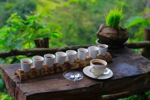 Ubud: Sølvsmedekursus og kaffesmagning med afhentning