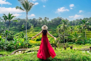 Ubud: Silversmyckestillverkning, risterrasser och vattenfallstur