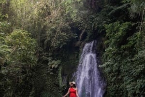 Ubud: Silversmyckestillverkning, risterrasser och vattenfallstur