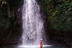 Ubud: Silversmyckestillverkning, risterrasser och vattenfallstur