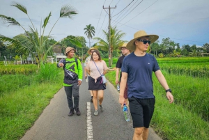 Ubud: Silver Making Class and Fireflies Evening Tour