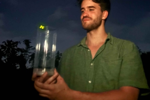 Ubud: Silver Making Class and Fireflies Evening Tour