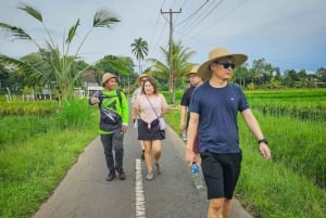 Ubud: Silversmideskurs och kvällstur med eldflugor